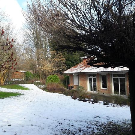 Uccle Un Grand Jardin En Ville. Chez Guy מראה חיצוני תמונה