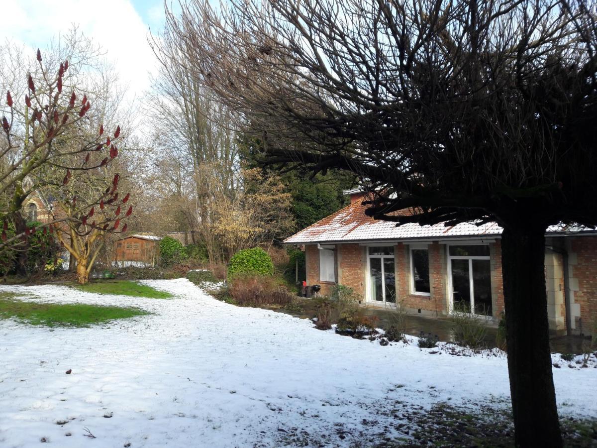 Uccle Un Grand Jardin En Ville. Chez Guy מראה חיצוני תמונה